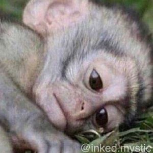 Meet your Posher, Tiara